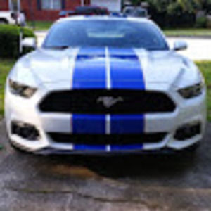 Meet your Posher, Alan